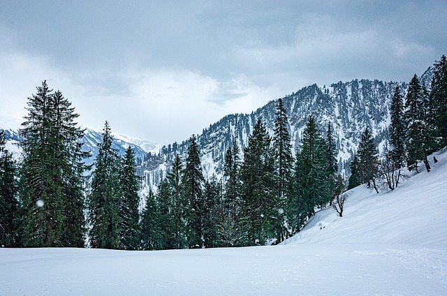 Himachal Pradesh